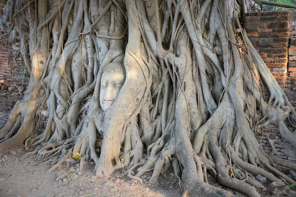 Tailândia Ayutthaya Templo Wat Mahathat — Fotografia de Stock