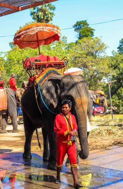 Tayland. Ayutthaya. Şehrin güzel bir manzarası.