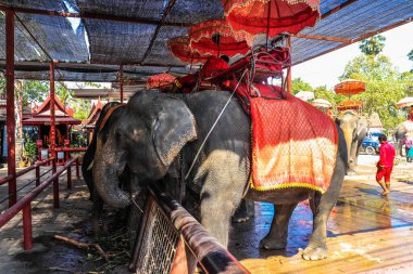 Tayland. Ayutthaya. Şehrin güzel bir manzarası.
