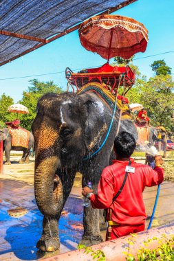 Tayland. Ayutthaya. Şehrin güzel bir manzarası.