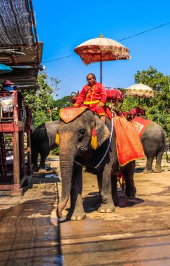 Tayland. Ayutthaya. Şehrin güzel bir manzarası.