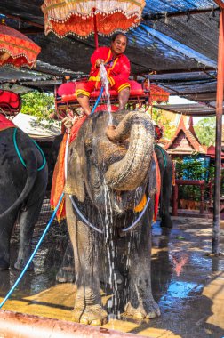 Tayland. Ayutthaya. Şehrin güzel bir manzarası.