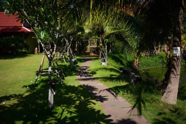 Tayland. Ayutthaya. Şehrin güzel bir manzarası.