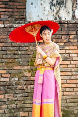 Ayutthaya. Tayland. Wat Chaiwatthanaram Tapınağı