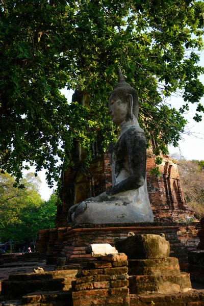 Thailand Ayutthaya Een Prachtig Uitzicht Tempels Stad — Stockfoto