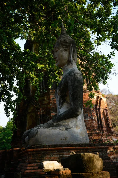 Thailand Ayutthaya Een Prachtig Uitzicht Tempels Stad — Stockfoto