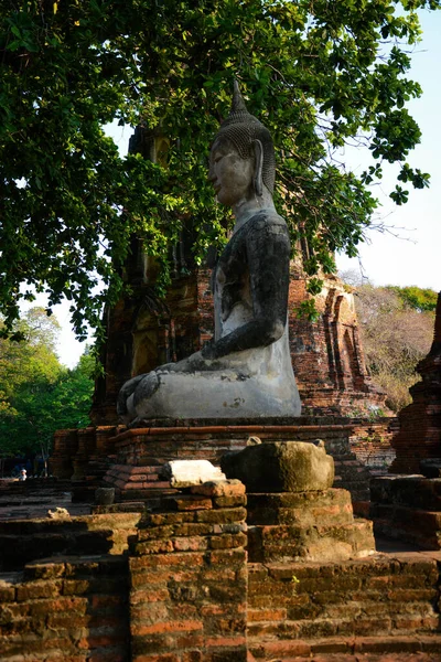 Thailand Ayutthaya Een Prachtig Uitzicht Tempels Stad — Stockfoto