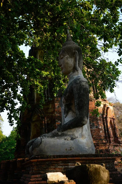 Thailand Ayutthaya Een Prachtig Uitzicht Tempels Stad — Stockfoto