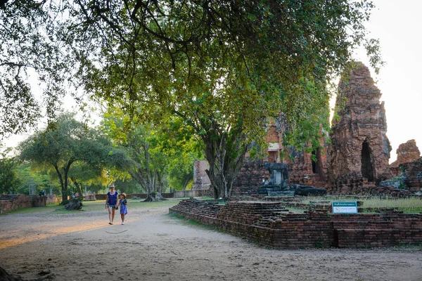 Ayutthaya 城市中寺庙的美丽景色 — 图库照片