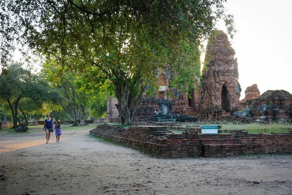 Ayutthaya 城市中寺庙的美丽景色 — 图库照片