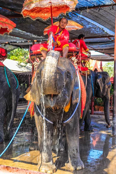 Tailândia Ayutthaya Uma Bela Vista Cidade — Fotografia de Stock