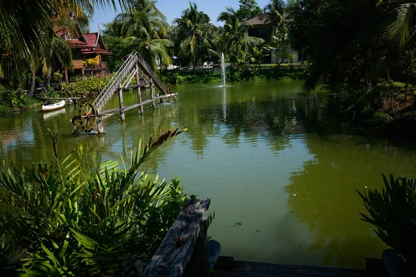 Thailand Ayutthaya Een Prachtig Uitzicht Stad — Stockfoto