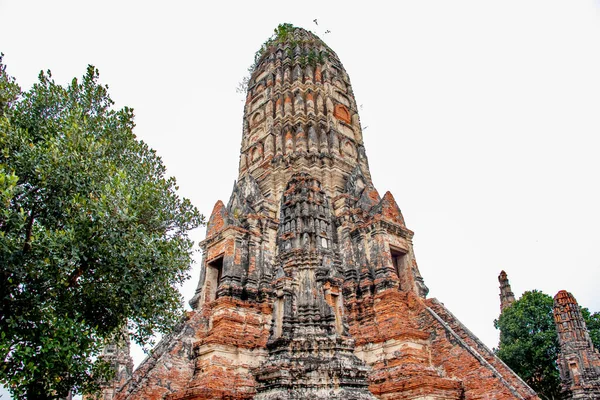 Ayutthaya Wat Chaiwatthanaram寺 — 图库照片