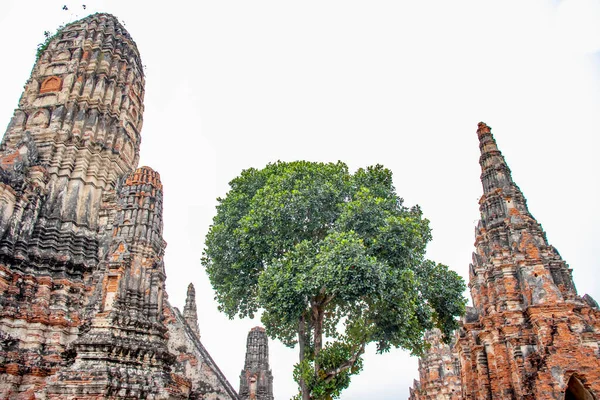 Ayutthaya Wat Chaiwatthanaram寺 — 图库照片