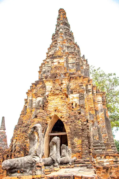 Tailandia Ayutthaya Templo Wat Chaiwatthanaram —  Fotos de Stock