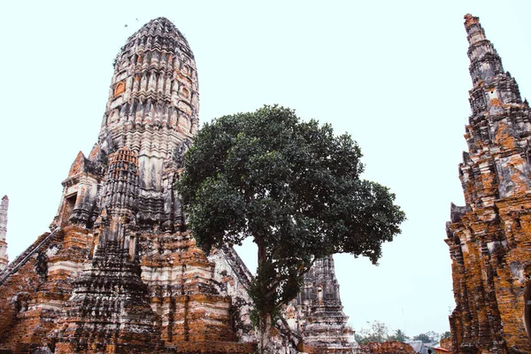 Thaiföld Ajutthaja Wat Chaiwatthanaram Templom — Stock Fotó