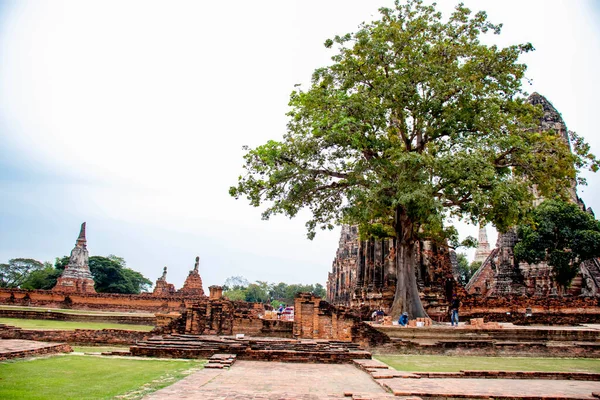 Tailandia Ayutthaya Templo Wat Chaiwatthanaram — Foto de Stock