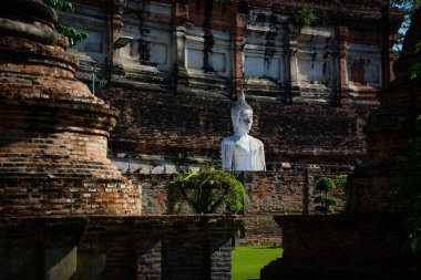 Tayland. Ayutthaya. Wat Yai Chai Mongkhol Tapınağı