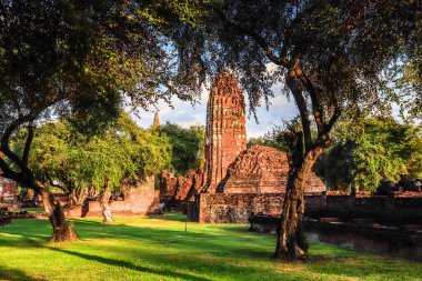 Tayland. Ayutthaya. Wat Ratcha Burana Tapınağı