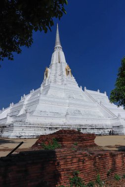 Tayland. Ayutthaya. Wat Phu Khao Tapınağı