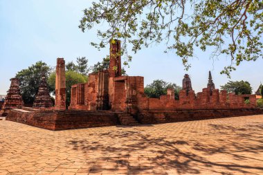 Tayland. Ayutthaya. Wat Phu Khao Tapınağı