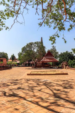 Tayland. Ayutthaya. Wat Phu Khao Tapınağı