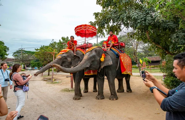 Tailandia Ayutthaya Una Vista Los Elefantes Ciudad — Foto de Stock