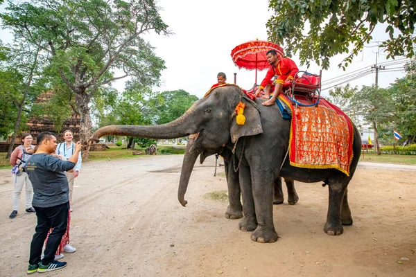 Tailandia Ayutthaya Una Vista Los Elefantes Ciudad — Foto de Stock