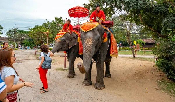 Tailandia Ayutthaya Una Vista Los Elefantes Ciudad — Foto de Stock