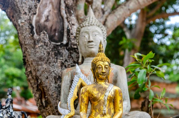 Tailândia Ayutthaya Templo Wat Yai Chai Mongkhol — Fotografia de Stock