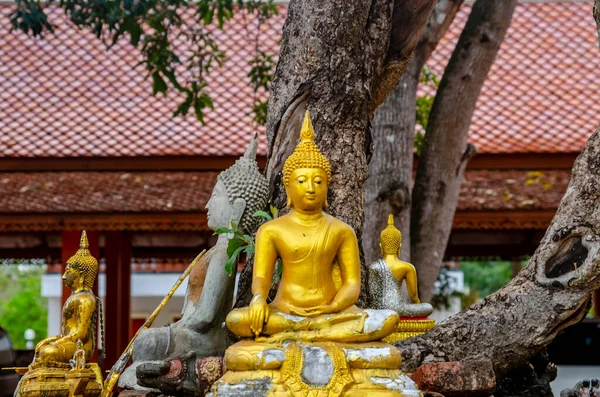 Tailândia Ayutthaya Templo Wat Yai Chai Mongkhol — Fotografia de Stock