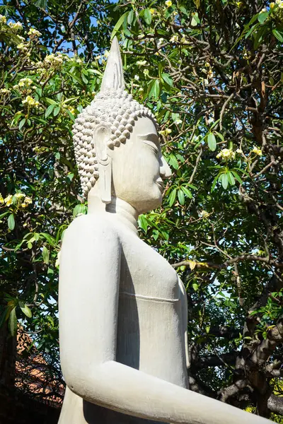 Tailândia Ayutthaya Templo Wat Yai Chai Mongkhol — Fotografia de Stock