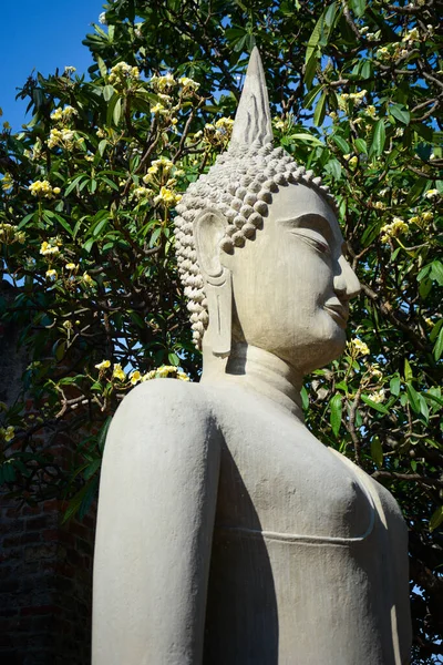 Таїланд Аюттхая Wat Yai Chai Mongkhol Temple — стокове фото