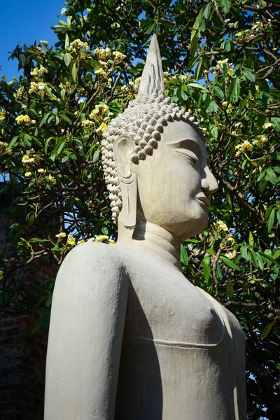 Таїланд Аюттхая Wat Yai Chai Mongkhol Temple — стокове фото