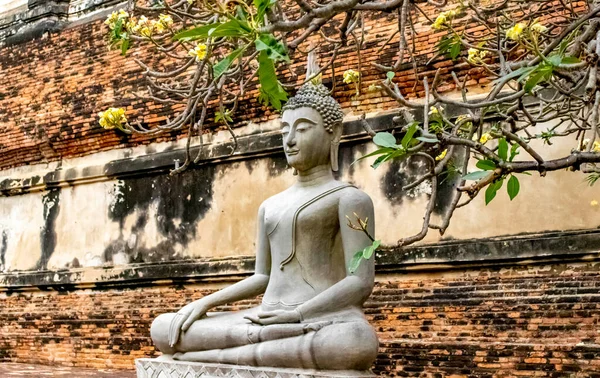 Tailandia Ayutthaya Templo Wat Yai Chai Mongkhol — Foto de Stock