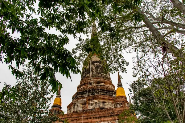 Ταϊλάνδη Αγιούταγια Ναός Wat Yai Chai Monghol — Φωτογραφία Αρχείου