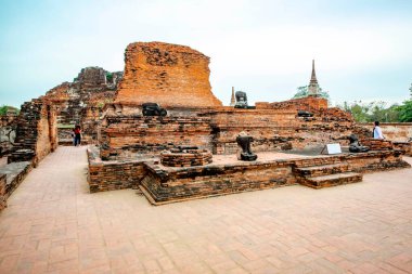Antik Wat Mahathat Tapınağı, Ayutthaya, Tayland