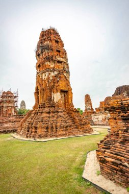 Antik Wat Mahathat Tapınağı, Ayutthaya, Tayland
