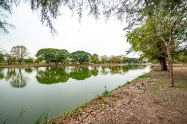 Tayland. Ayutthaya. Wat Mahathat tapınağı