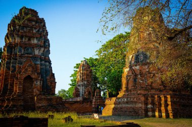 Wat Mahathat Tapınağı 'nın taş kalıntıları, Ayutthaya, Tayland