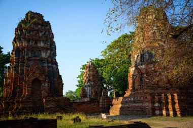 Wat Mahathat Tapınağı 'nın taş kalıntıları, Ayutthaya, Tayland