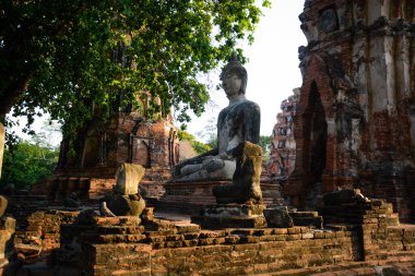 Oturan Buda heykeli, Ayutthaya, Tayland