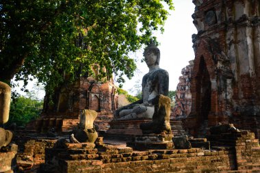 Oturan Buda heykeli, Ayutthaya, Tayland