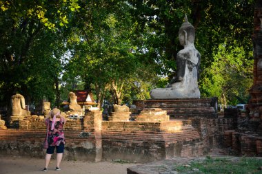 Tayland. Ayutthaya. Wat Mahathat tapınağı