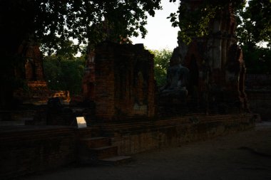 Wat Mahathat Tapınağı 'nın taş kalıntıları, Ayutthaya, Tayland