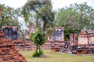 Wat Mahathat Tapınağı 'nın taş kalıntıları, Ayutthaya, Tayland