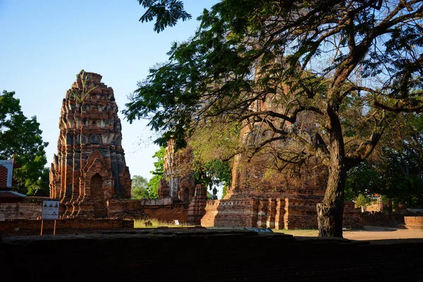 Πέτρα Αρχαία Ερείπια Του Wat Mahathat Temple Ayutthaya Ταϊλάνδη — Φωτογραφία Αρχείου