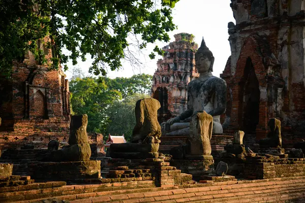 Sedící Socha Buddhy Ayutthaya Thajsko — Stock fotografie