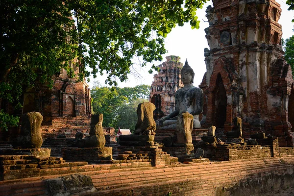 Sedící Socha Buddhy Ayutthaya Thajsko — Stock fotografie