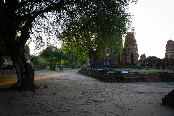 Thailandia Ayutthaya Wat Mahathat Tempio — Foto Stock